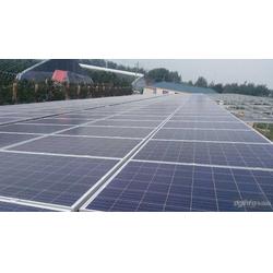 金鼎盛世 以服务至上的理念，引领太阳能发电行业新篇章